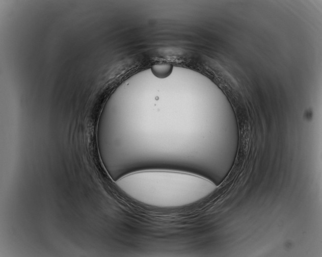 X0000098070747200804040727