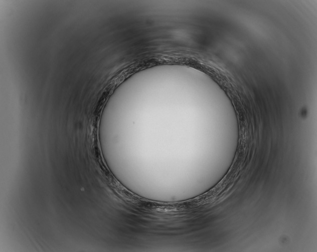 X0000098070749200804040727