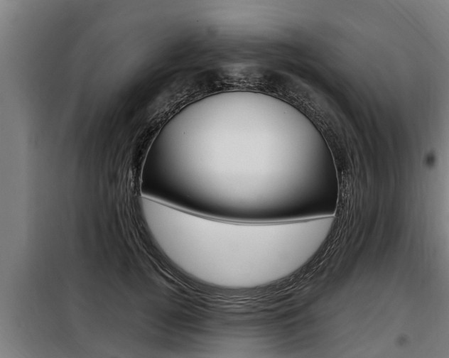 X0000098070752200804040727