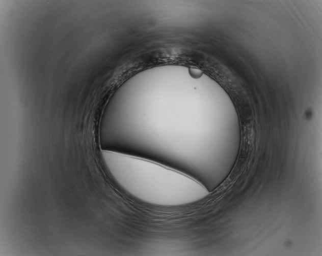 X0000098070754200804040727