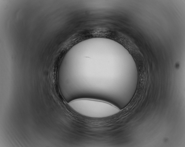 X0000098070755200804040727