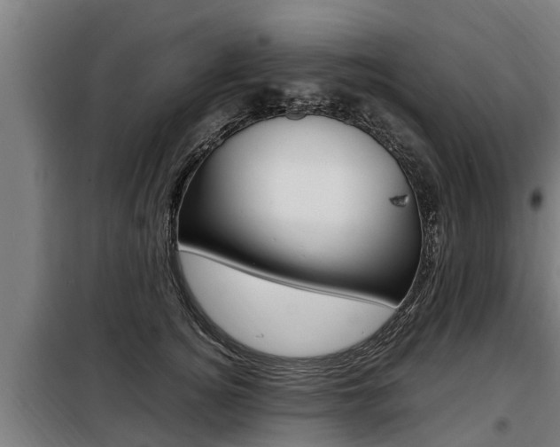 X0000098070756200804040727