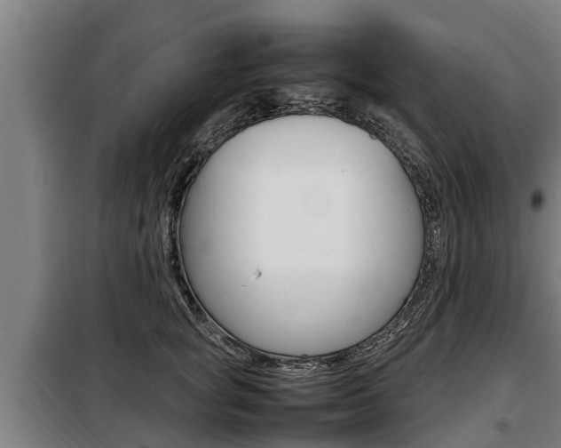 X0000098070757200804040727