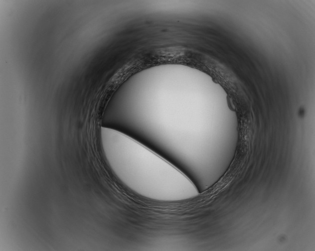 X0000098070758200804040727