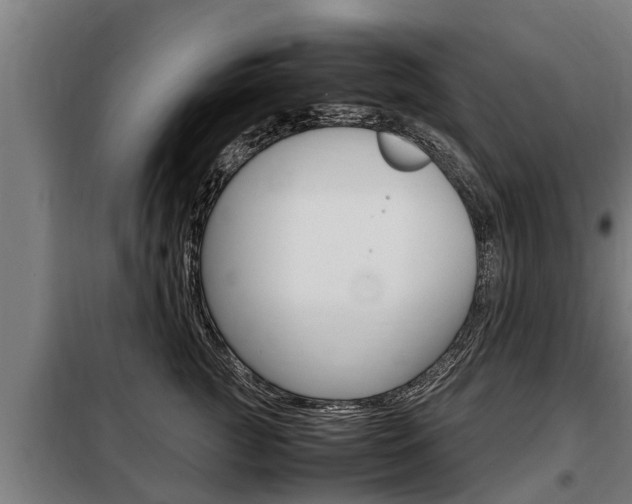 X0000098070761200804040727