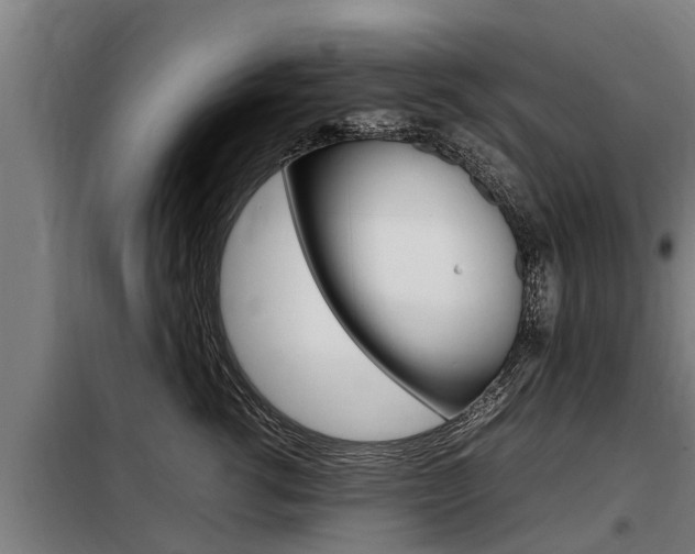 X0000098070762200804040727