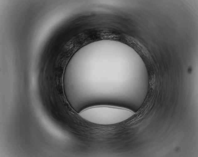 X0000098070763200804040727