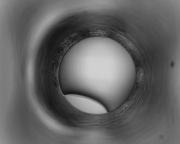 X0000098070764200804040727