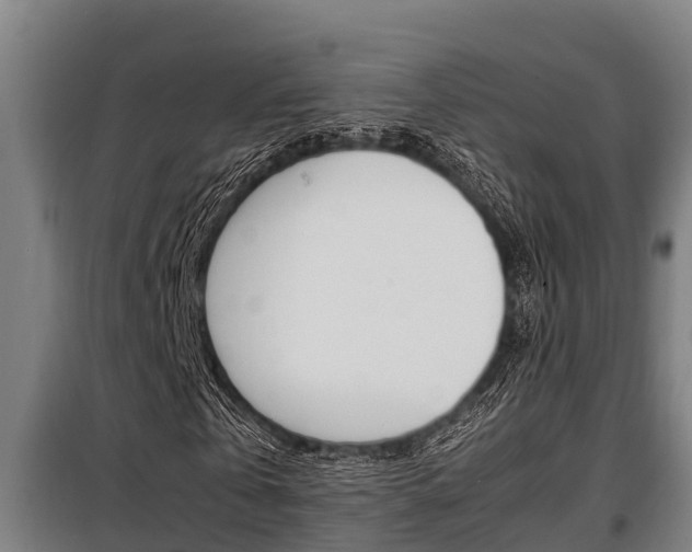 X0000098070769200804040727