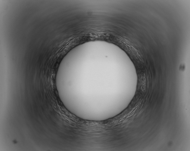 X0000098070770200804040727