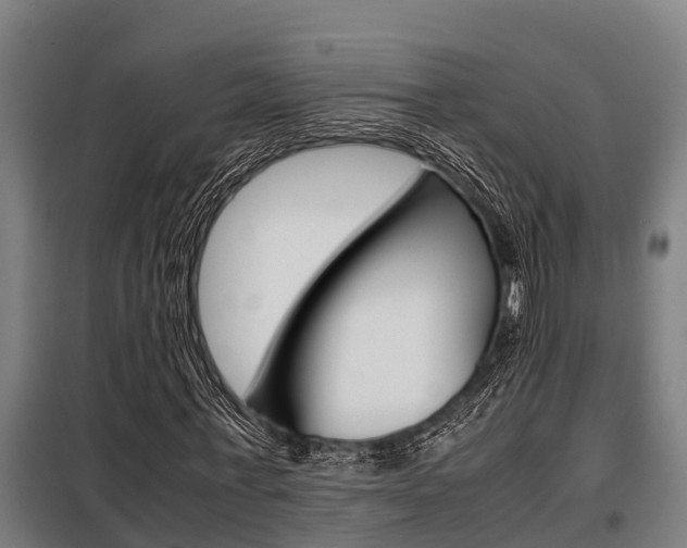 X0000098070771200804040727