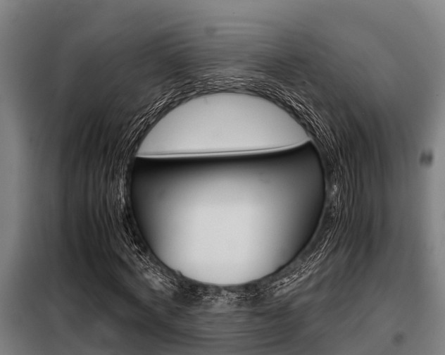 X0000098070772200804040727