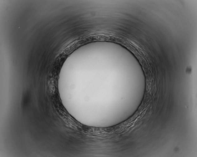 X0000098070774200804040727