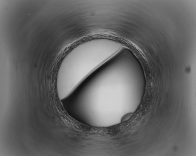 X0000098070775200804040727