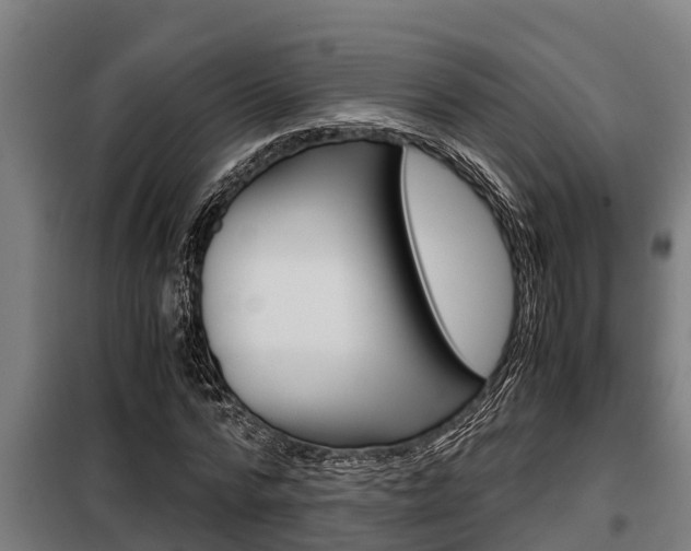 X0000098070776200804040727