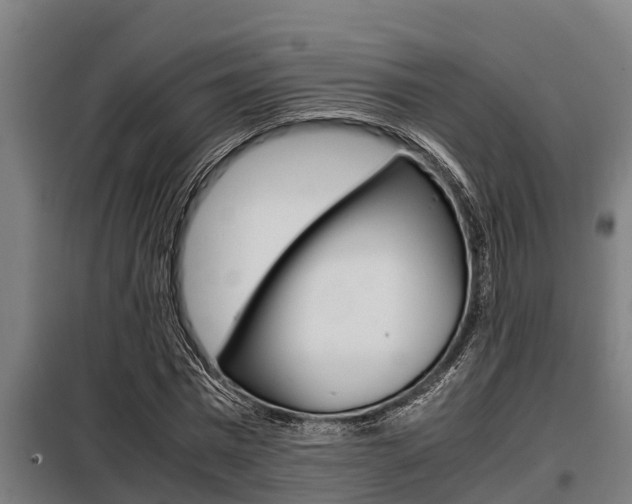 X0000098070777200804040727