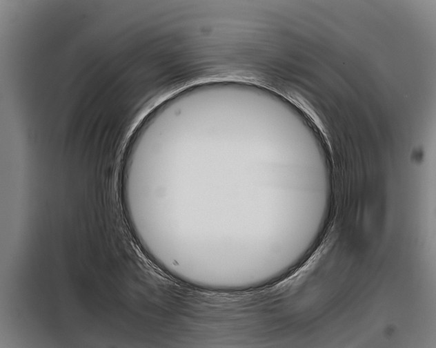 X0000098070781200804040727