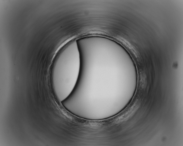 X0000098070782200804040727