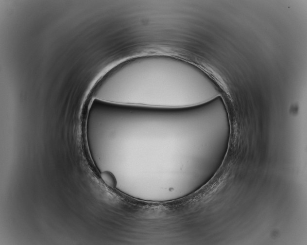 X0000098070784200804040727