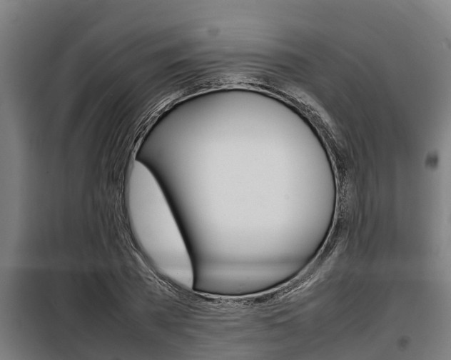X0000098070785200804040727