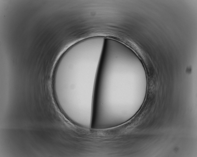 X0000098070787200804040727