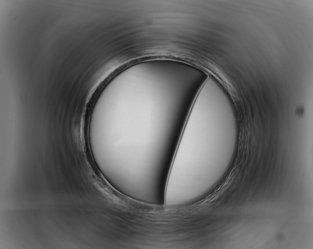 X0000098070788200804040727