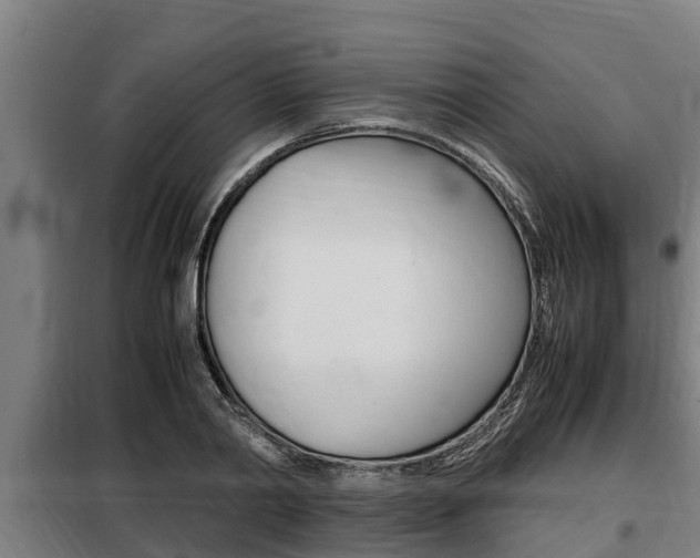 X0000098070790200804040727