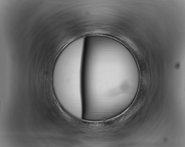 X0000098070793200804040726