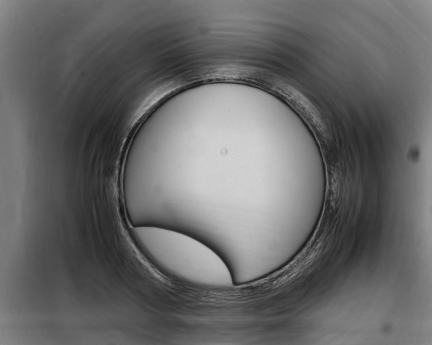 X0000098070794200804040726