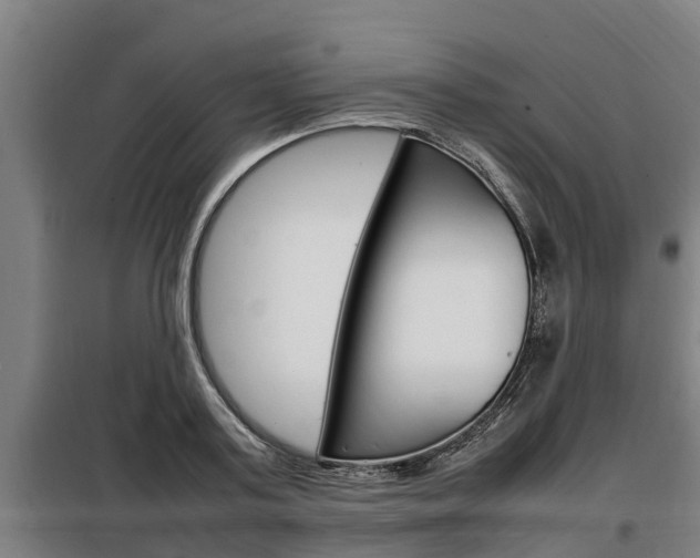 X0000098070795200804040726