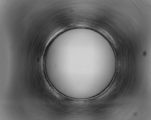 X0000098070798200804040726