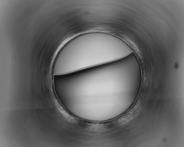 X0000098070800200804040726