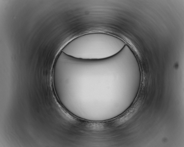 X0000098070802200804040726