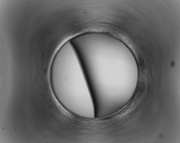 X0000098070803200804040726