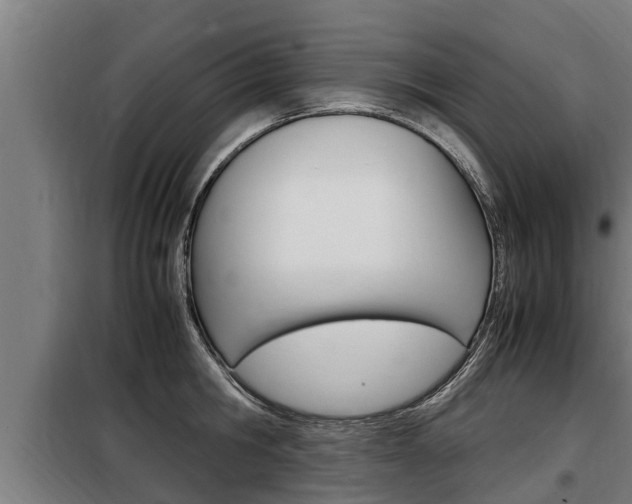 X0000098070806200804040726