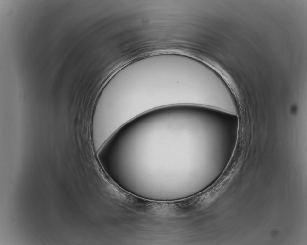 X0000098070809200804040726