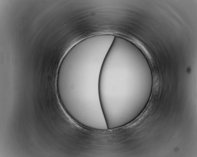 X0000098070810200804040726