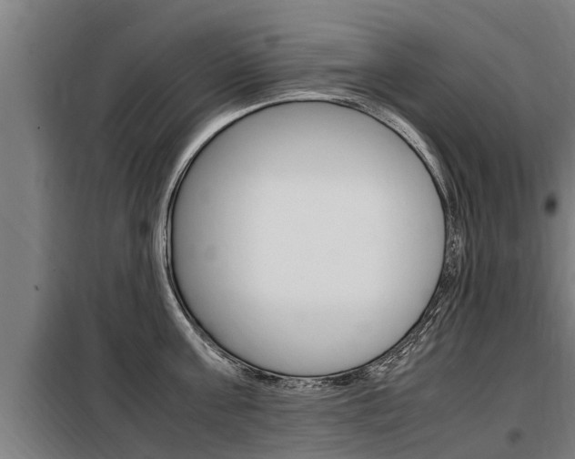X0000098070811200804040726