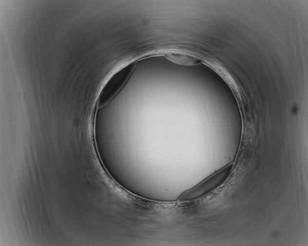 X0000098070813200804040726