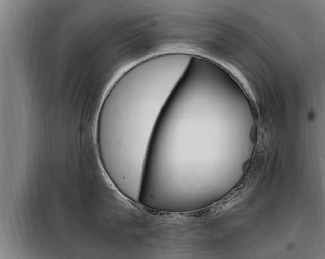 X0000098070815200804040726