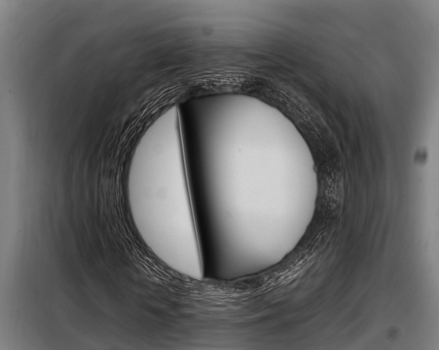 X0000098070818200804040725