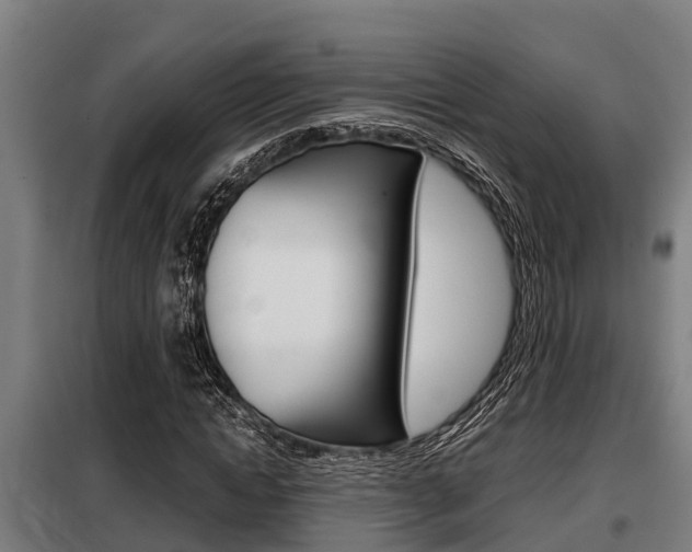 X0000098070822200804040725