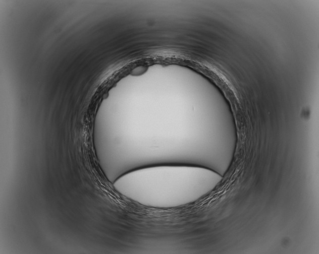 X0000098070823200804040725