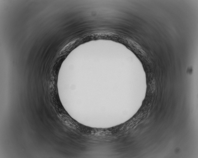 X0000098070824200804040725