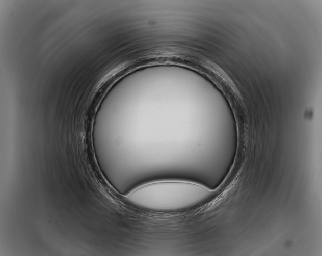 X0000098070826200804040725