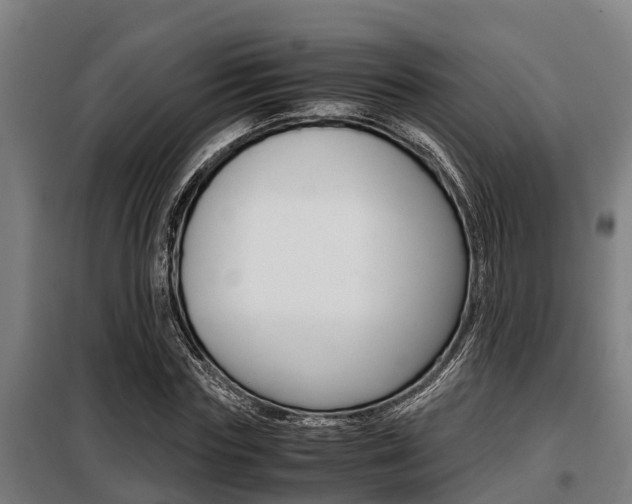 X0000098070827200804040725