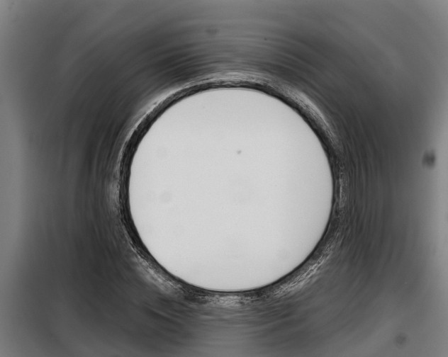 X0000098070828200804040726