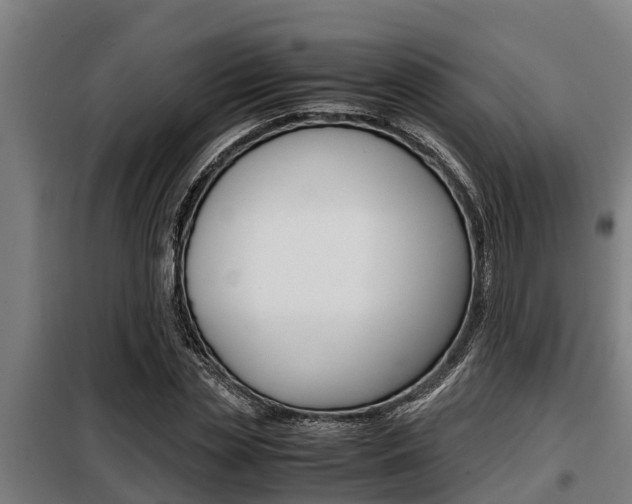 X0000098070829200804040726