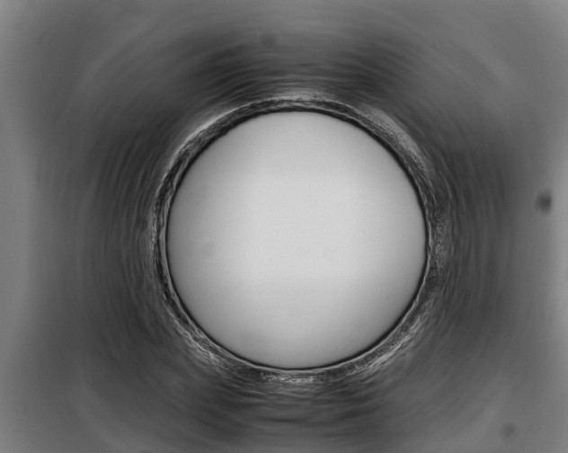 X0000098070831200804040726