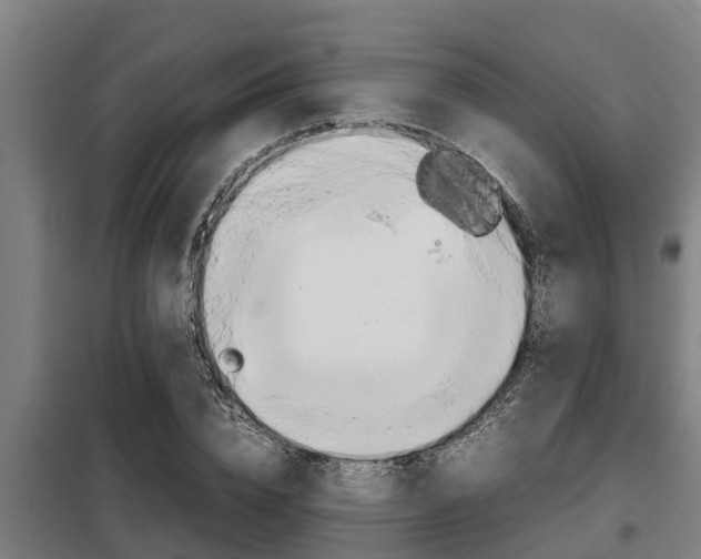 X0000098070832200804040726